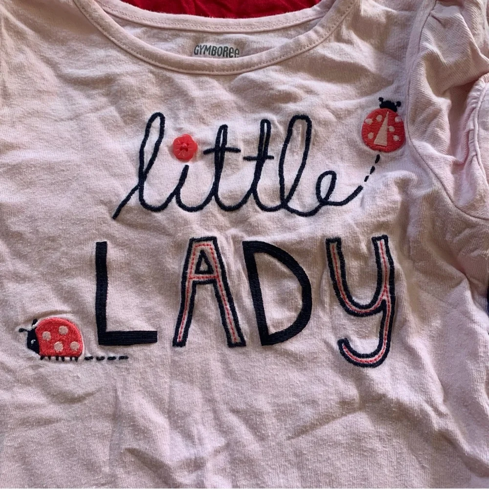 Gymboree shirt bundle 4 tops